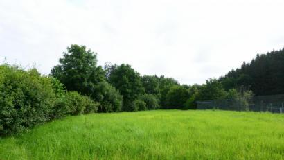 Bild: bey
Neben dem eingefriedeten Gelände von Beachvolleyballfeld und Tennisanlagen soll der "Pumptrack" angelegt werden.