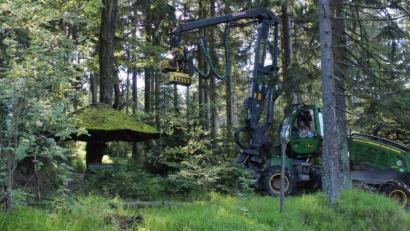 Bild: njn
Mit einem Harvester wurden die schadhaften Äste behutsam entfernt.
