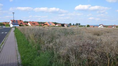 Bild: bö
Die Rapsernte steht zwar noch an, doch dann werden in wenigen Monaten die Baumaschinen anrücken. Der Gemeinderat in Ebermannsdorf hat für das Baugebiet "Barbarafeld" die öffentliche Auslegung der Planungen für eine Wohnbebauung beschlossen.