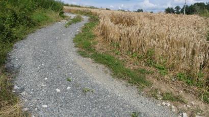 Bild: rn
Überwiegend zur Instandsetzung ausgewaschener Flurwege in Hanglagen setzt die Jagdgenossenschaft 2020 erhebliche Mittel ein.