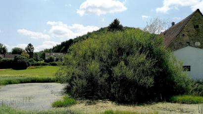Bild: ds
Der Hiltl-Weiher in Tabernackel verlandet immer mehr. Der Eigentümer soll zur Pflege dieser Wasserstelle aufgefordert werden, hieß es im Gemeinderat.