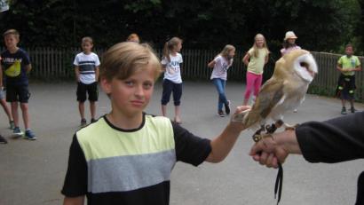 Bild: Marco Stobitzer/exb
Die Schleiereule von Birgit Freundl ist ziemlich zutraulich. Viele Kinder trauten sich, den großen Vogel zu streicheln.
