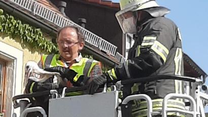 Bild: rgl
Glück im Unglück für den Jungstorch aus Luhe (Kreis Neustadt/WN): Feuerwehrmänner befreiten ihn aus seiner misslichen Lage nach einem gescheiterten Flugversuch.