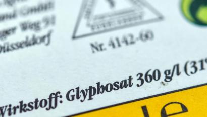 Bild: Patrick Pleul
Privatnutzer dürfen das umstrittene Unkrautvernichtungsmittel Glyphosat bald nicht mehr im eigenen Garten verwenden. Foto: Patrick Pleul/zb/dpa