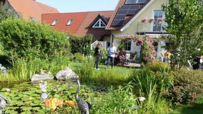 Bild: rn
In diesem natürlichen Garten in Eschenbach blühen sogar die Seerosen.