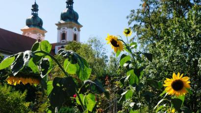Bild: do
Das Klosterdorf Speinshart soll blühen. Zur Sicherung der Internationalen Begegnungssstätte wünscht sich der Förderverein ein Wissenschaftszentrum.
