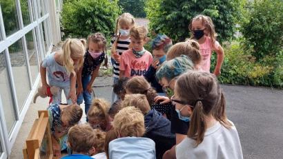 Bild: jzk
Interessiert betrachteten die Erstklässler das rege Treiben der Bienen in einer Bienenwabe.