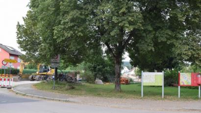 Bild: bnr
Die Grünfläche in der Paul-Schiedt_Straße soll in dieser Form erhalten und als Blühfläche aufgewertet werden.