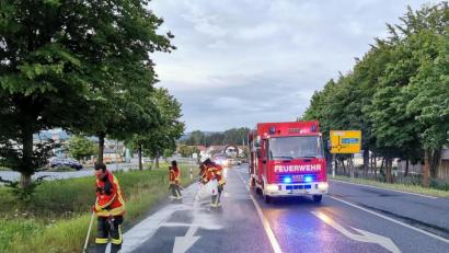 Bild: mde
Über eine Fahrspurbreite und auf einer Länge von rund 150 Metern war die Bayreuther Straße am Montagabend verschmutzt - und aufgrund der Einsatzmaßnahmen für eine halbe Stunde im Bereich des Gewerbegebiets gesperrt.