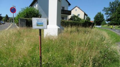 Bild: kgg
In der Stadt Waldsassen sind mehrere Blühflächen angelegt worden, die nicht mehr gemäht werden - wie etwa am Stationsweg an der Einmündung zur Gerwigstraße.