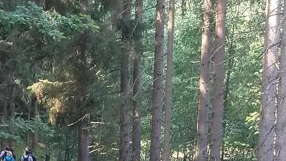 Bild: jzk
Die Wanderung im Waldnaabtal hat den Viertklässlern sehr gut gefallen.