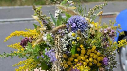 Archivbild:  Petra Hartl
Traditionell werden noch heute im Vorfeld von Mariä Himmelfahrt in der katholischen Kirche eine bestimmte Anzahl an ausgewählten Heilkräutern sowie Getreideähren und wohlriechende Blumen in Gärten, an Wegrändern, Wiesen und Feldern gesammelt, zu Büschel gebunden und am Hochfest in den Messen in den Kirchen geweiht. Die Zusammenstellung der Kräuterbuschen variiert von Ort zu Ort ein wenig.