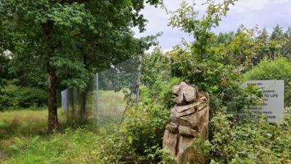 Bild: sne
Die geschnitzte Holzfigur ziert das Ende der Thumbachstraße und den Beginn des Truppenübungsplatzes. Sie hat noch keine Ahnung über die Pläne des Bauausschusses über eine Verbindung zur Talstraße.