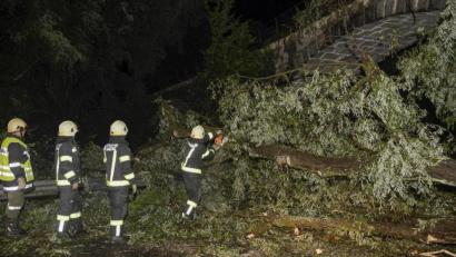 Bild: Markus Zechbauer/zema-medien.de/dpa
Durch Unwetter entwurzelte Bäume haben am Samstagabend in Niederbayern Autos beschädigt und eine Bahnstrecke blockiert.