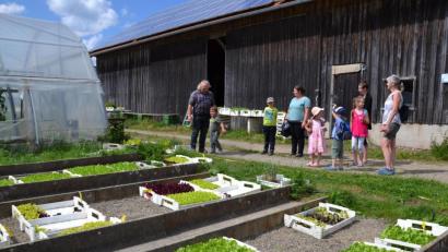 Bild: gi
Chef Fritz Steinhilber führte die Kinder und ihren Eltern durch seine Felder und Gewächshäuser der Bioland-Gemüse-Gärtnerei in Uchamühle im Rahmen des Ferienprogramms.