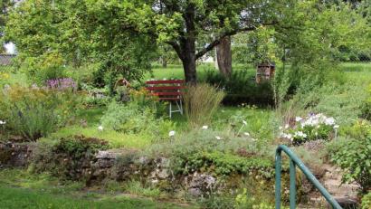Bild: ds
Viele Gäste lockt der Kräutergarten am Kirchenreinbacher Schloss an, der von Mitgliedern und Helfern des Gartenbauvereins Schmidtstadt und Umgebung gepflegt wird.