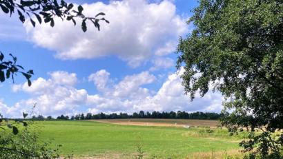 Bild: stg
Grünes Licht gab der Kemnather Stadtrat für den Bauantrag des Landkreises zum Bau der neuen Realschule auf dieser Fläche.