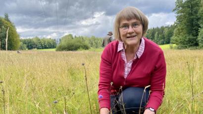 Bild: Eichl
Der Teufelsabbiss, ein unscheinbares Pflänzchen, auffällig nur durch seine in der Natur eher seltene Farbe. Cäcilia Kastl-Meier weiß um seine Bedeutung nicht nur für den Goldenen Scheckenfalter.
