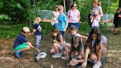 Bild: do
Möglichst nah wollten die Kids den Meerschweinchen kommen
