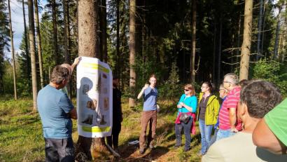 Bild: jzk
Interessiert verfolgten die Waldbesitzer die Borkenkäferschulung in einem vom Borkenkäfer befallenen Waldstück.
