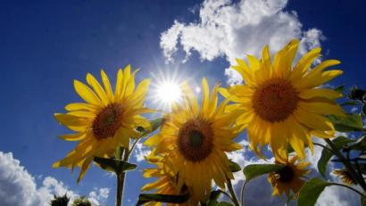 Archivbild: Alexander Unger
Das Wetter wird an diesem Wochenende nochmal sommerlich. Ab Dienstag folgen dann kühlere Temperaturen und einige Schauer.