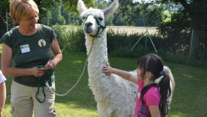 Bild: jr
Gerne ließ sich „Vailoso“ von einem Kind auch streicheln und genoss die Berührungen. Immer mit dabei ist Jutta Fischer.