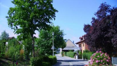 Bild: bjp
Verkehrsberuhigung durch Einbahnstraßenregelung oder Bremsschwellen? Beides könnten sich manche Pressather Bürger für die Von-Zedtwitz-Straße vorstellen.