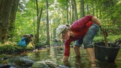 Bild: exb/Martin Hertel
Freiwillige säuberten im Fichtelgebirge einen Flussabschnitt des Weißen Mains bei Bischofsgrün.