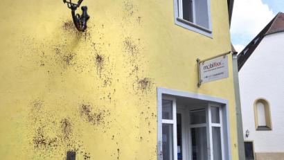 Bild: Petra Hartl
Farbspritzer bis auf Höhe des ersten Stockes: Die Paradiesgasse 2 wurde zum dritten Mal innerhalb kurzer Zeit beschmiert. Hausbesitzer und Mieter setzen eine Belohnung aus, wenn der Täter geschnappt wird.