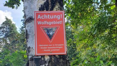 Bild: Dorothea Praller/exb
Mindestens vier dieser Schilder hängen im Wald um Pirk an Bäumen. Wer sie befestigt hat, ist nicht bekannt.