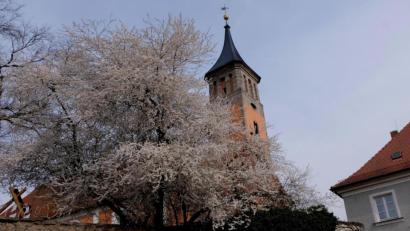 Symbolbild: le
Der evangelische Kirchturm in Floß.