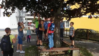 Bild: Anna Hain/exb 
Die "Indianer" mussten bei der Schnitzeljagd einige Geschicklichkeits-Aufgaben bewältigen.