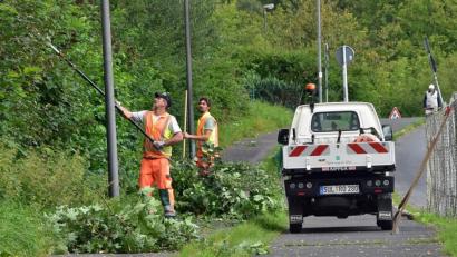 Bild: Andreas Royer
Die Stadtgärtnerei muss an Geh- und Radwegen sowie an Straßen immer wieder für das passende Lichtraumprofil sorgen.