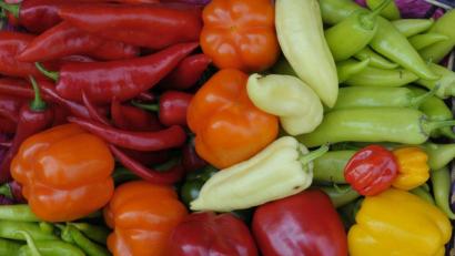 Archivbild: Petra Hartl
So bunt wie diese Paprikasorten sollte eine bewusste Ernährung sein.
