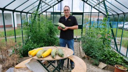 Bild: do
Unternehmer Hubert Schug erntet im Gewächshaus, das auf dem Gelände des Gesundheitszentrums in Eschenbach steht. Dort dürfen sich die Mitarbeiter kostenlos bedienen.