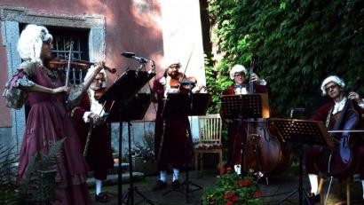 Bild: Kunz
Die Chursächsischen Streichersolisten glänzen bei den Wurzer Sommerkonzerten.