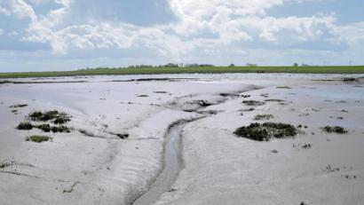 Bild: Wolfgang Stelljes/dpa
Der Langwarder Groden ist Teil des Unesco-Welterbes Wattenmeer.