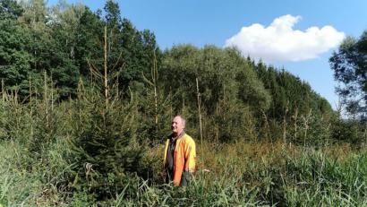 Bild: Portner
Schilf, hohe Gräser, Bäume: Ratlos schaut Friedrich Bauer auf seine Fichten auf der Waldwiese (im Hintergrund der Hochwaldbestand). Er soll jetzt auf Anordnung der Unteren Naturschutzbehörde einen großen Teil davon absägen.