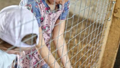 Bild: njn
Die ganz jungen Teilnehmer hatten ihren Spaß beim Füttern der Hasen.