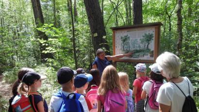 Bild: Regina Baumann./exb
Erkundung im Wald: Die Natur-Themen kamen bei den Kindern gut an.