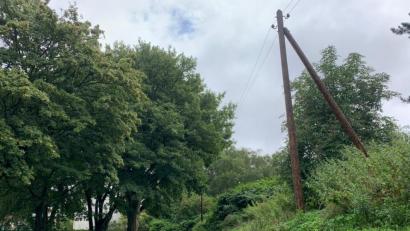 Bild: David Frahnow/exb
Üppiges Grün und große Pfützen, so wird der August 2021 vielen in Erinnerung bleiben.