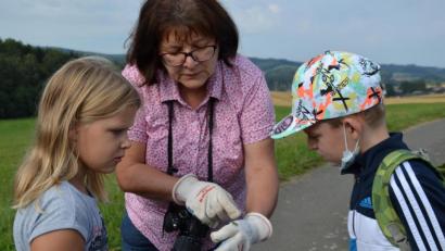 Bild: gi
Viel zu entdecken gab es für die Mädchen und Buben am Wegrand. Diplom-Biologin Mathilde Müllner erklärte ihnen die Tierchen und Blumen.