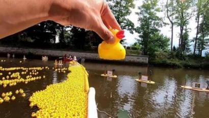 Bild: Round Table 49
Auf die Plätz, fertig, los! Die Enten schwimmen den Flutkanal hinab.