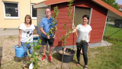 Bild: pop
Leiterin Michaela Mehringer (links) bedankt sich bei Petra und Bernhard Tischler vom Gartenbauverein für die Spende eines Allergiker-Apfelbaums.