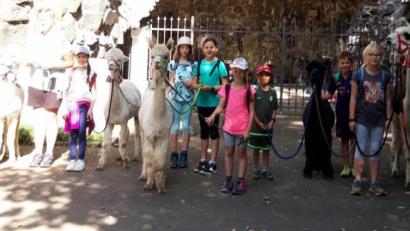 Bild: öt
Eine Wanderung zur Lourdes-Grotte bei Waldsassen machten im Neusorger Ferienprogramm mit den Lamas und Alpakas vom Elfenteich die Kinder aus Neusorg.