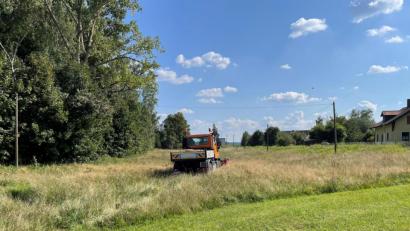 Bild: Marko Pammer/exb
Mit einer Kehreinheit am Unimog kehrt der Bauhof der Stadt Nabburg jetzt Blühwiesen und gewinnt damit regionales Saatgut zur Weiterverwendung.