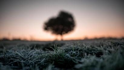 Symbolbild: Fabian Strauch/dpa
Bodenfrost ist in den kommenden Tagen möglich.