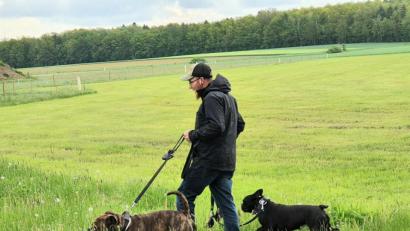 Archivbild: wd
So ist es vorbildlich: Die Hunde auch in der freien Natur an die Leine genommen. In den vergangenen Monaten hat es in der Umgebung von Sulzbach-Rosenberg etliche Fälle von freilaufenden Hunden gegeben, die Wildtiere gehetzt und tödlich verletzt haben.