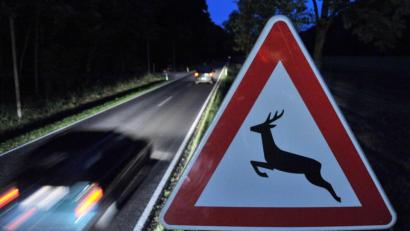 Symbolbild: Martin Schutt/dpa
Ein Verkehrsschild warnt vor Wildwechsel.