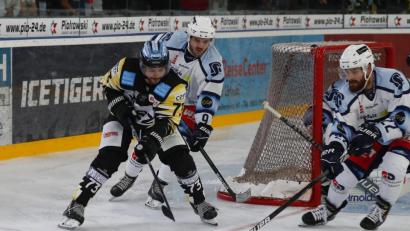 Bild: Peter Kolb
Am vergangenen Sonntag gewannen die Blue Devils Weiden bei den Bayreuth Tigers mit 5:4. Hier kämpfen die Weidener Dominik Müller (rechts) und Mirko Schreyer mit dem Bayreuther Tobias Meier um die Scheibe.